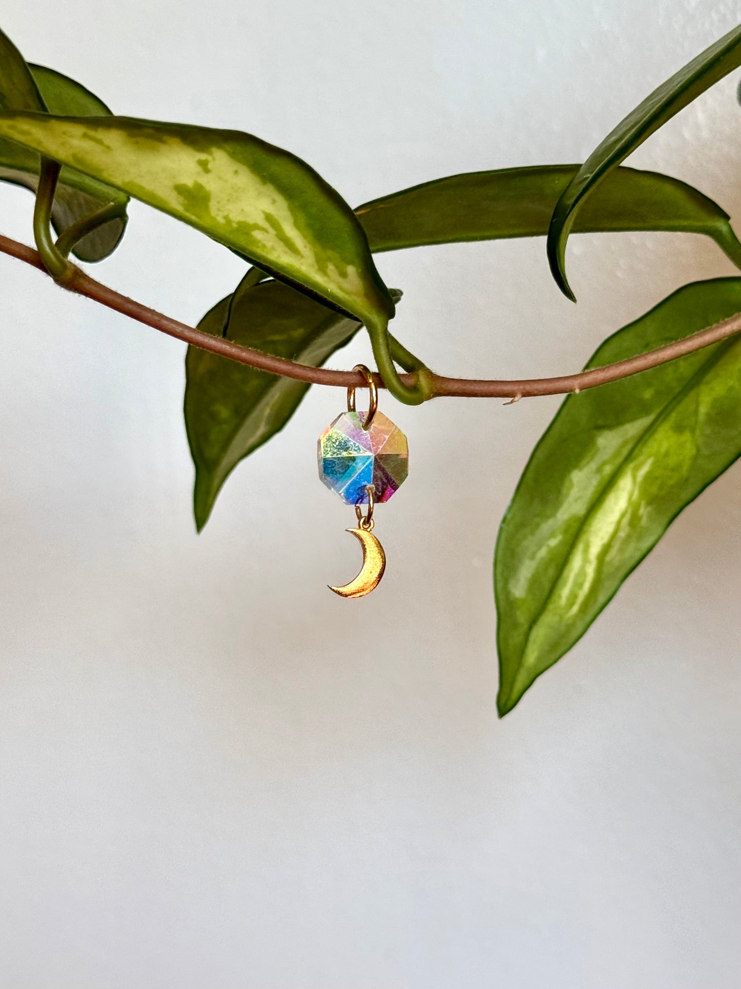 Plant Vine Charm | Moon