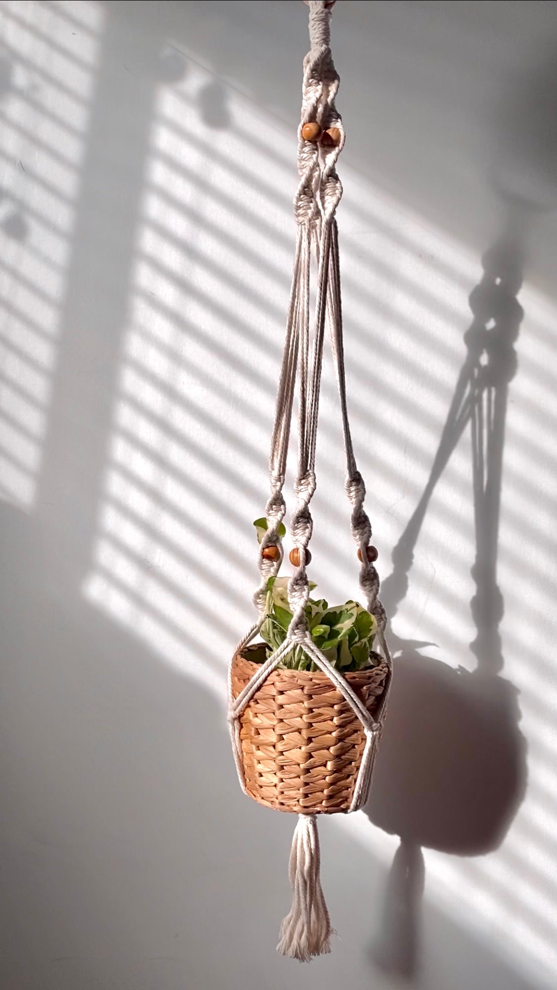 spiral 2 macrame plant hanger - white