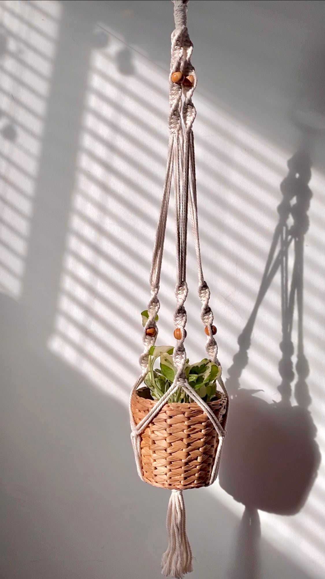spiral 2 macrame plant hanger - white