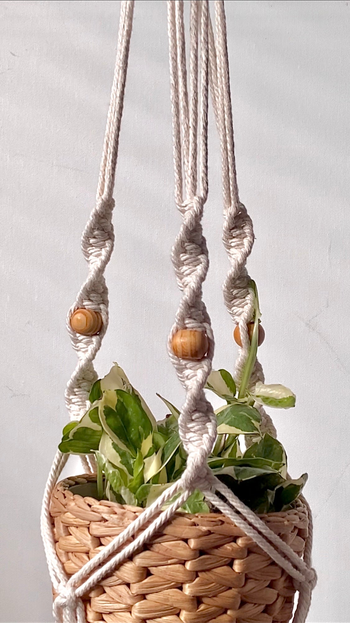 spiral 2 macrame plant hanger - white