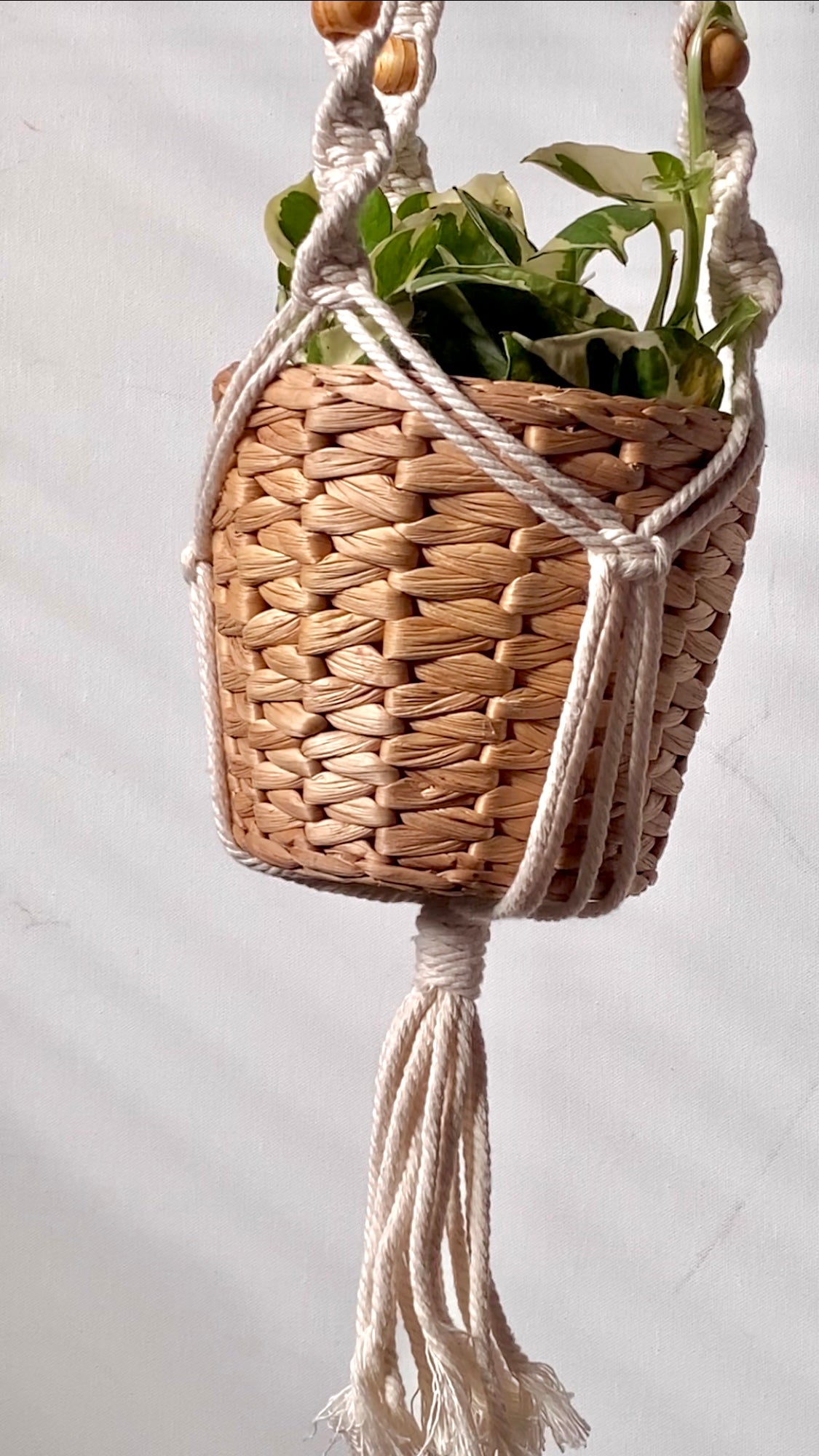 spiral 2 macrame plant hanger - white