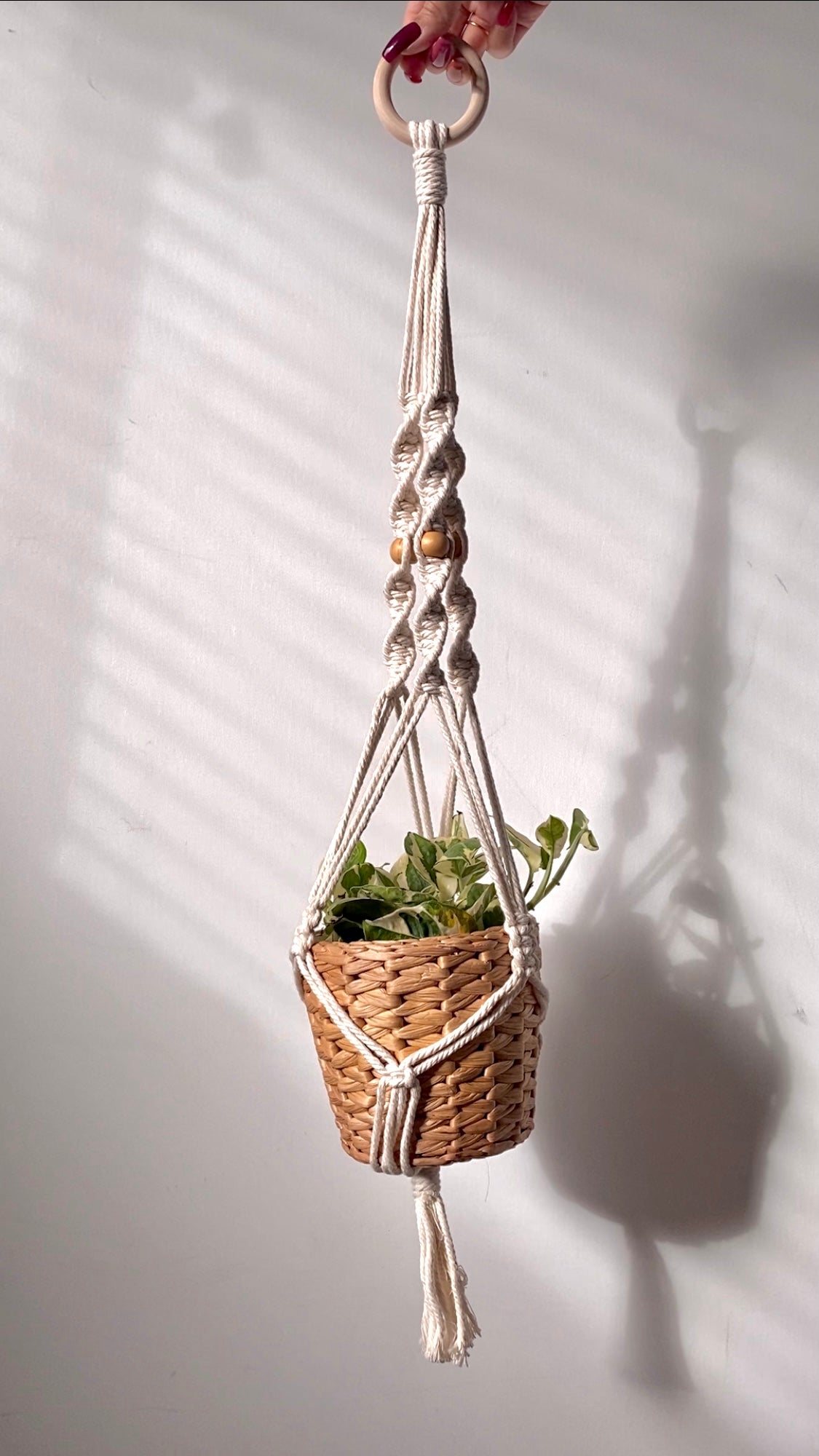 spiral macrame plant hanger - white