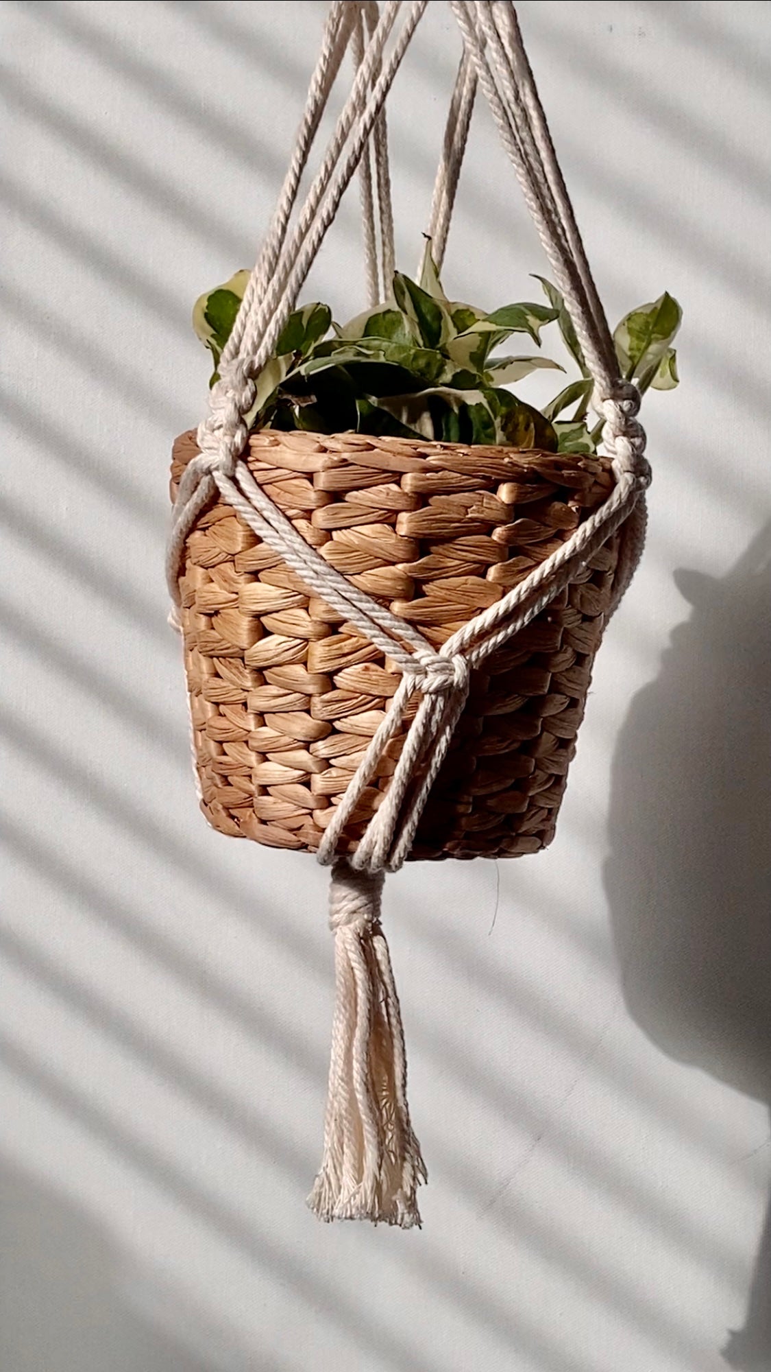 spiral macrame plant hanger - white