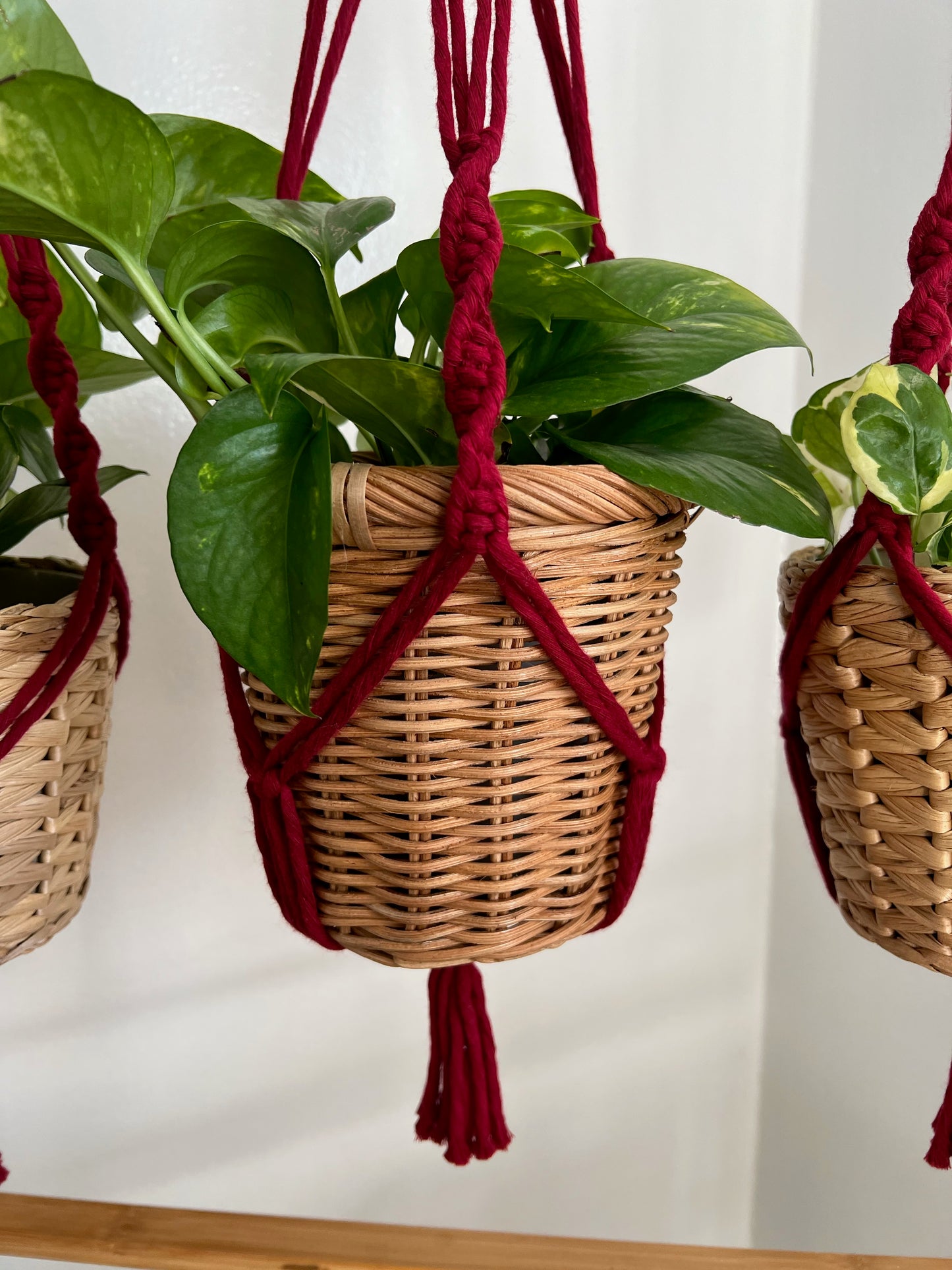 macrame plant hanger - wine