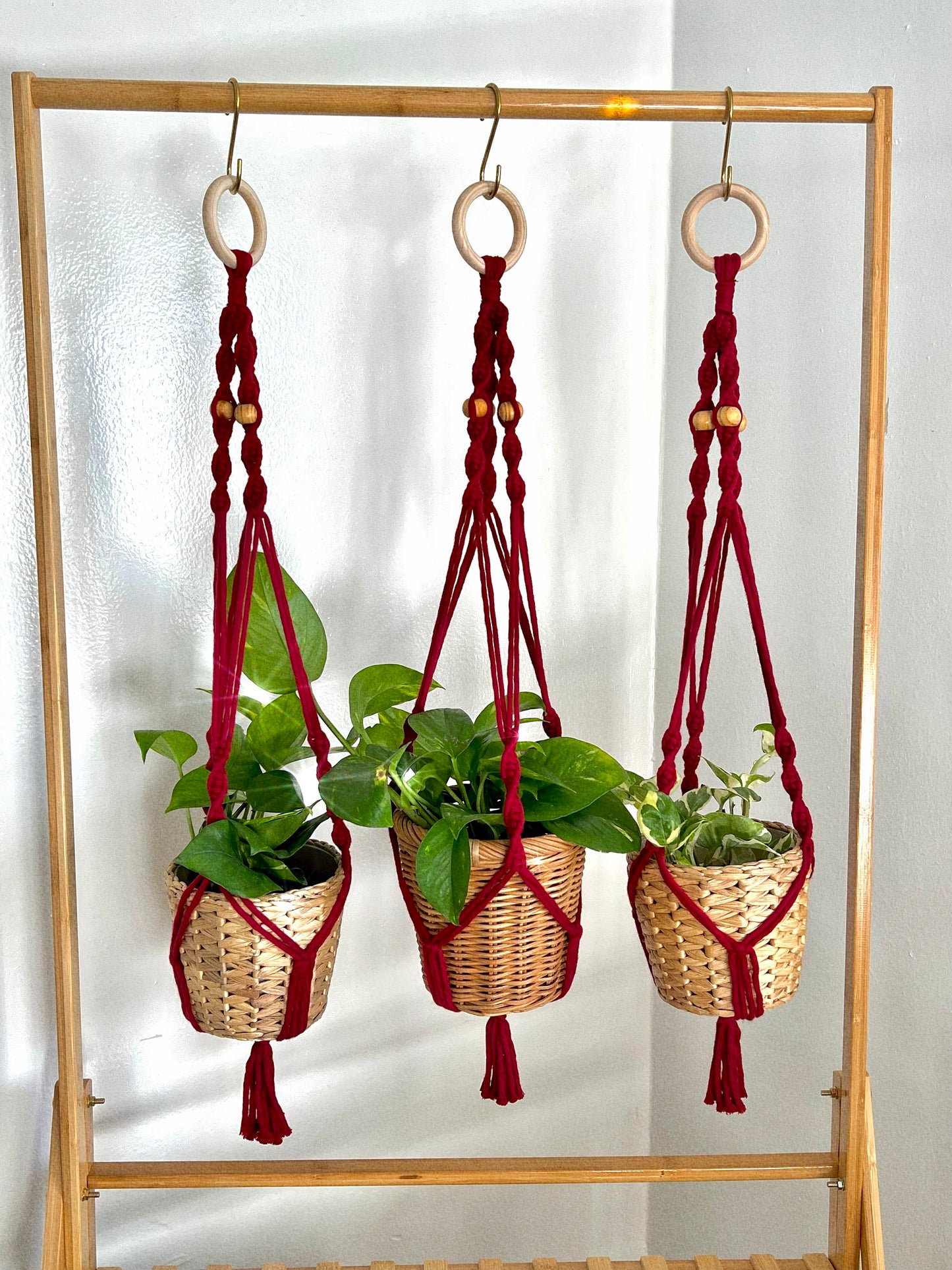 macrame plant hanger - wine