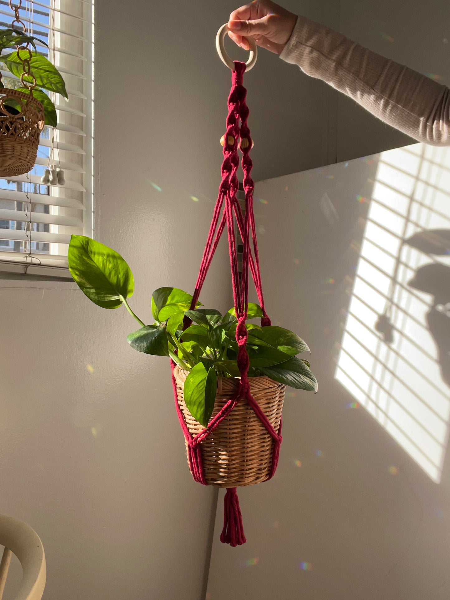 macrame plant hanger - wine