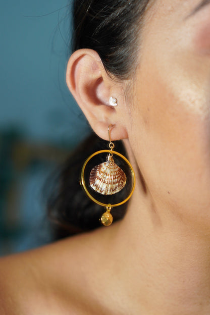 Shell Earrings | Aloha Pua Collection