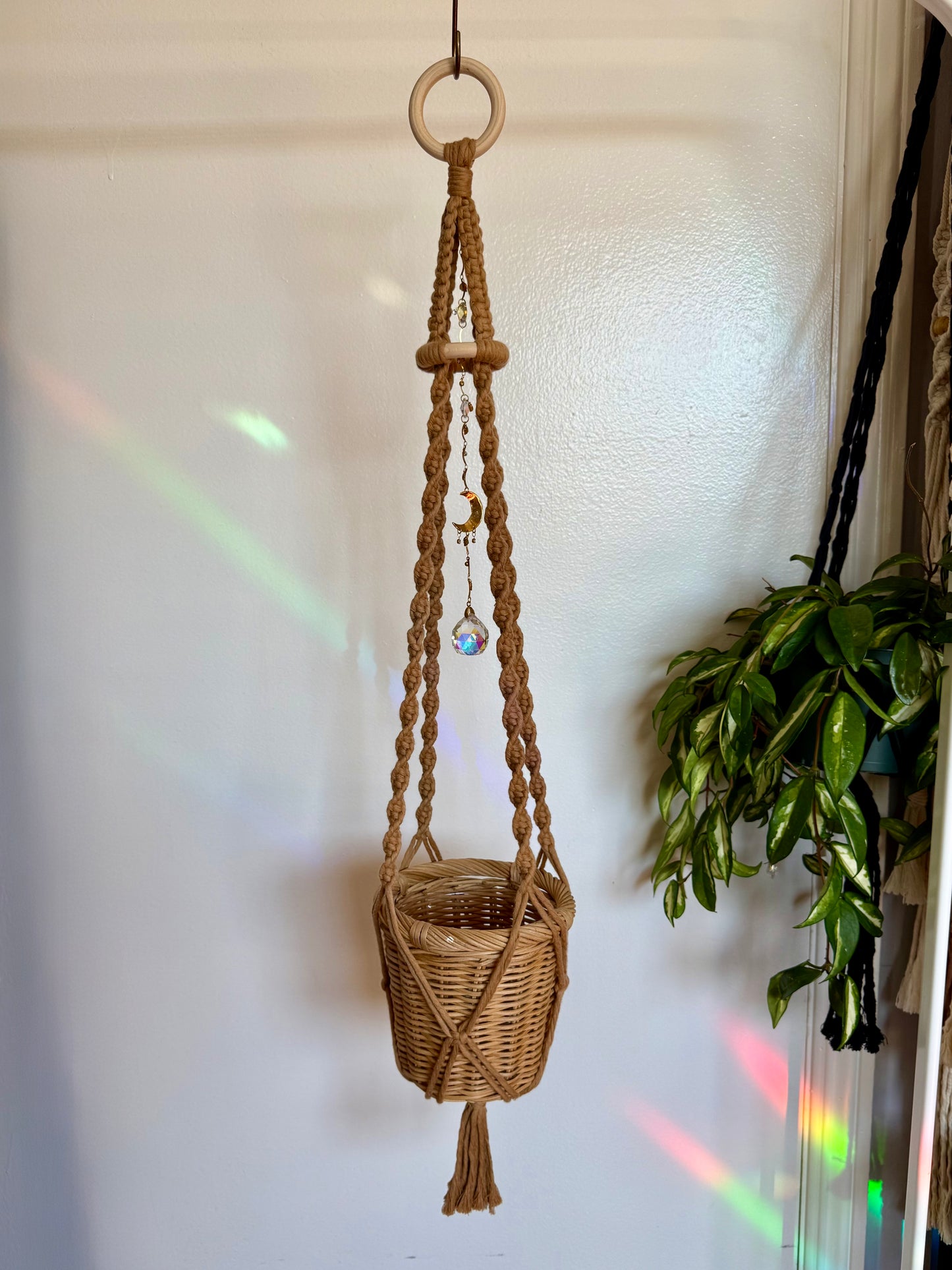 Chleo Macrame Plant Hanger x Sun Catcher