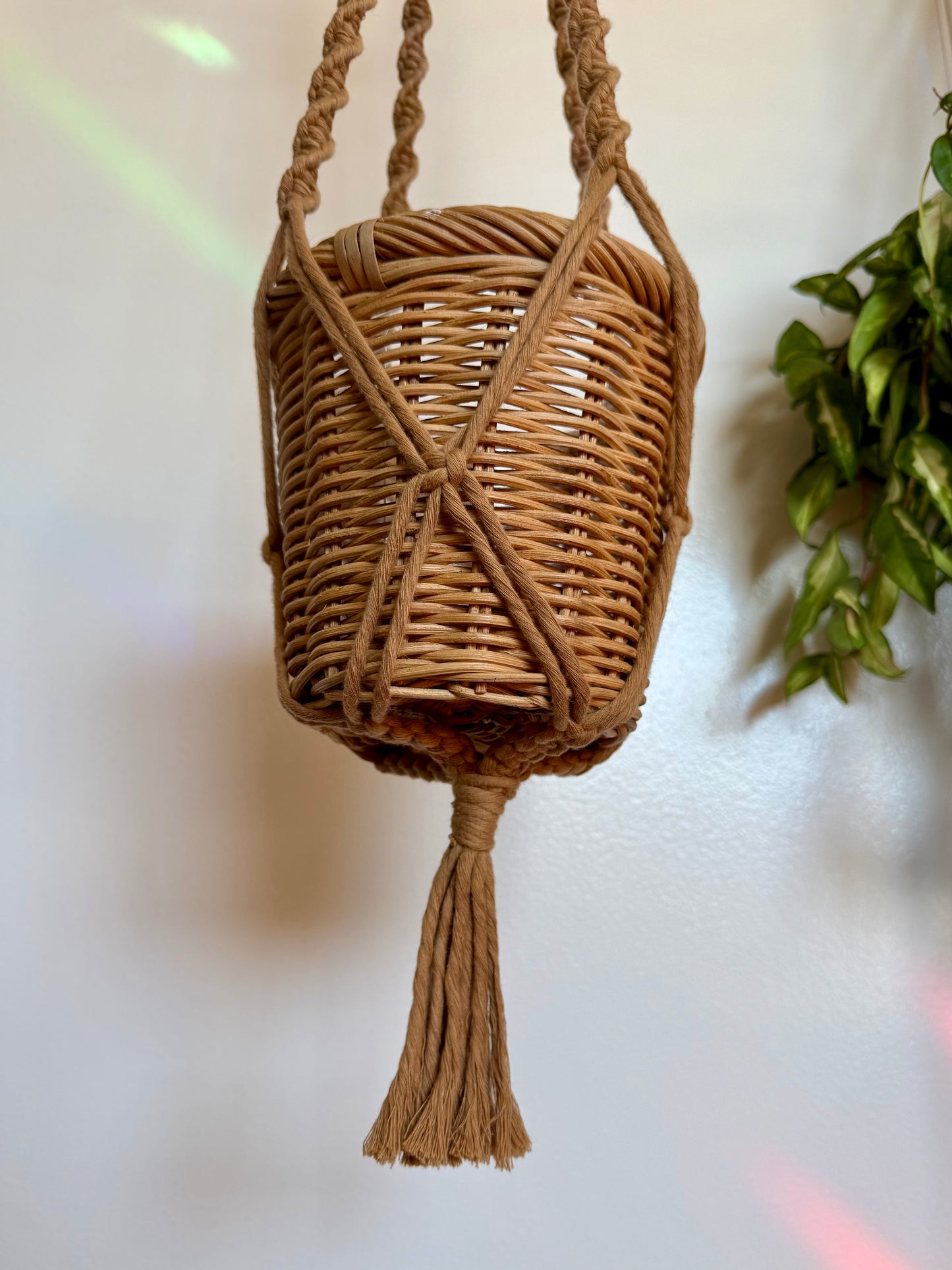 Chleo Macrame Plant Hanger x Sun Catcher