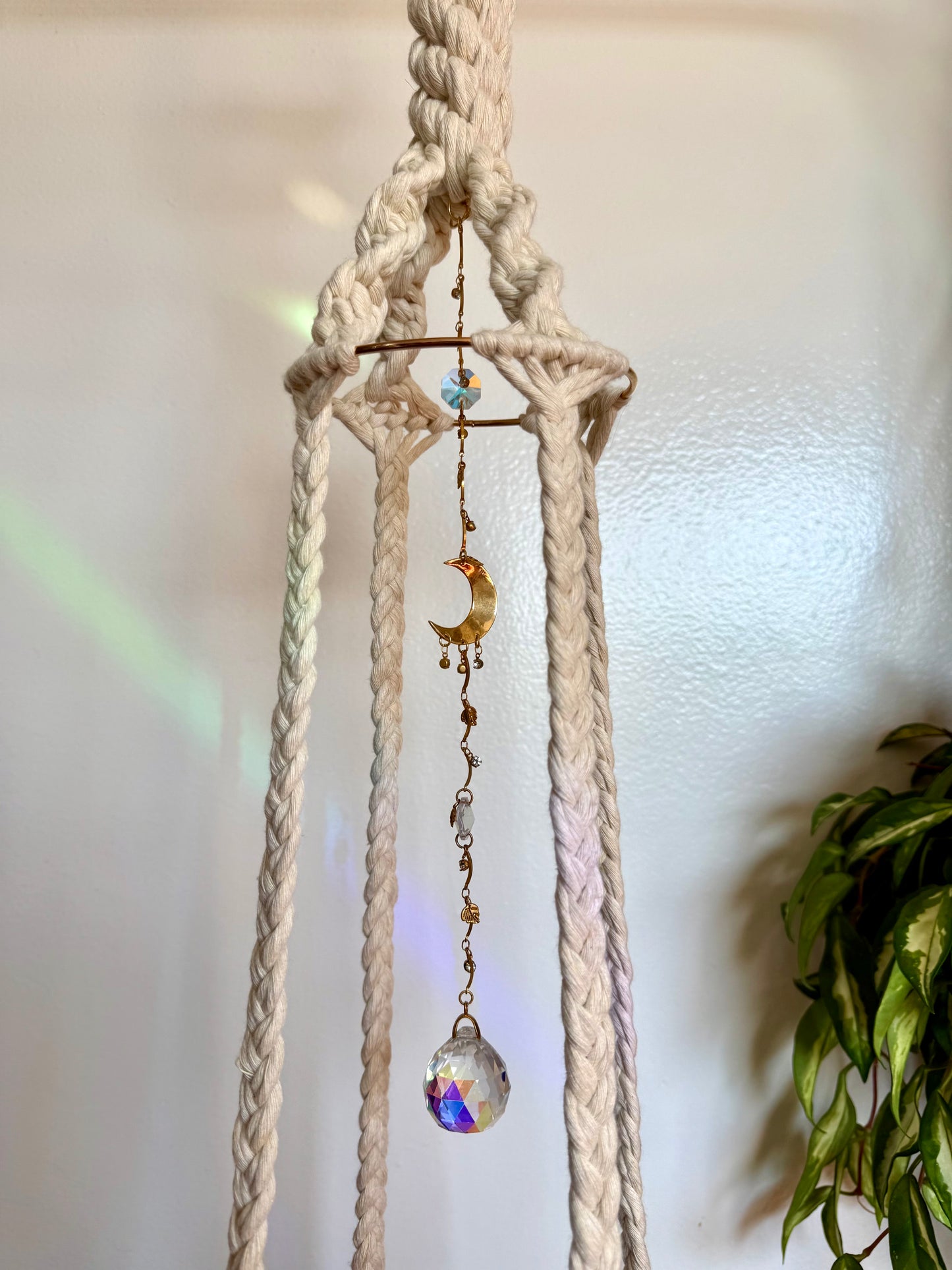 Goddess Plant Hanger x Sun Catcher