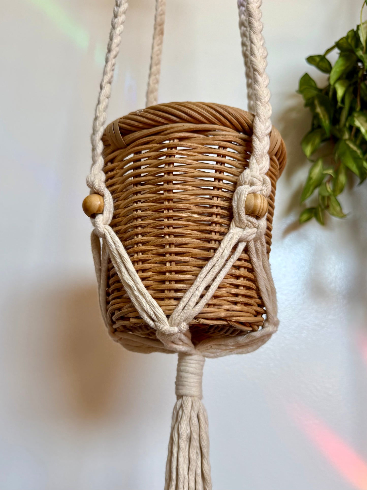 Goddess Plant Hanger x Sun Catcher