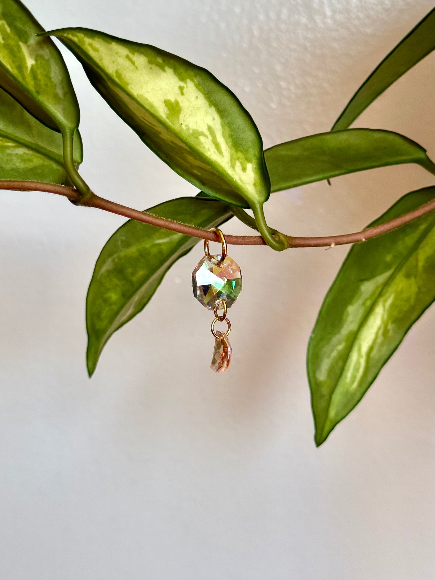 Plant Vine Charm - Golden Moon Charm