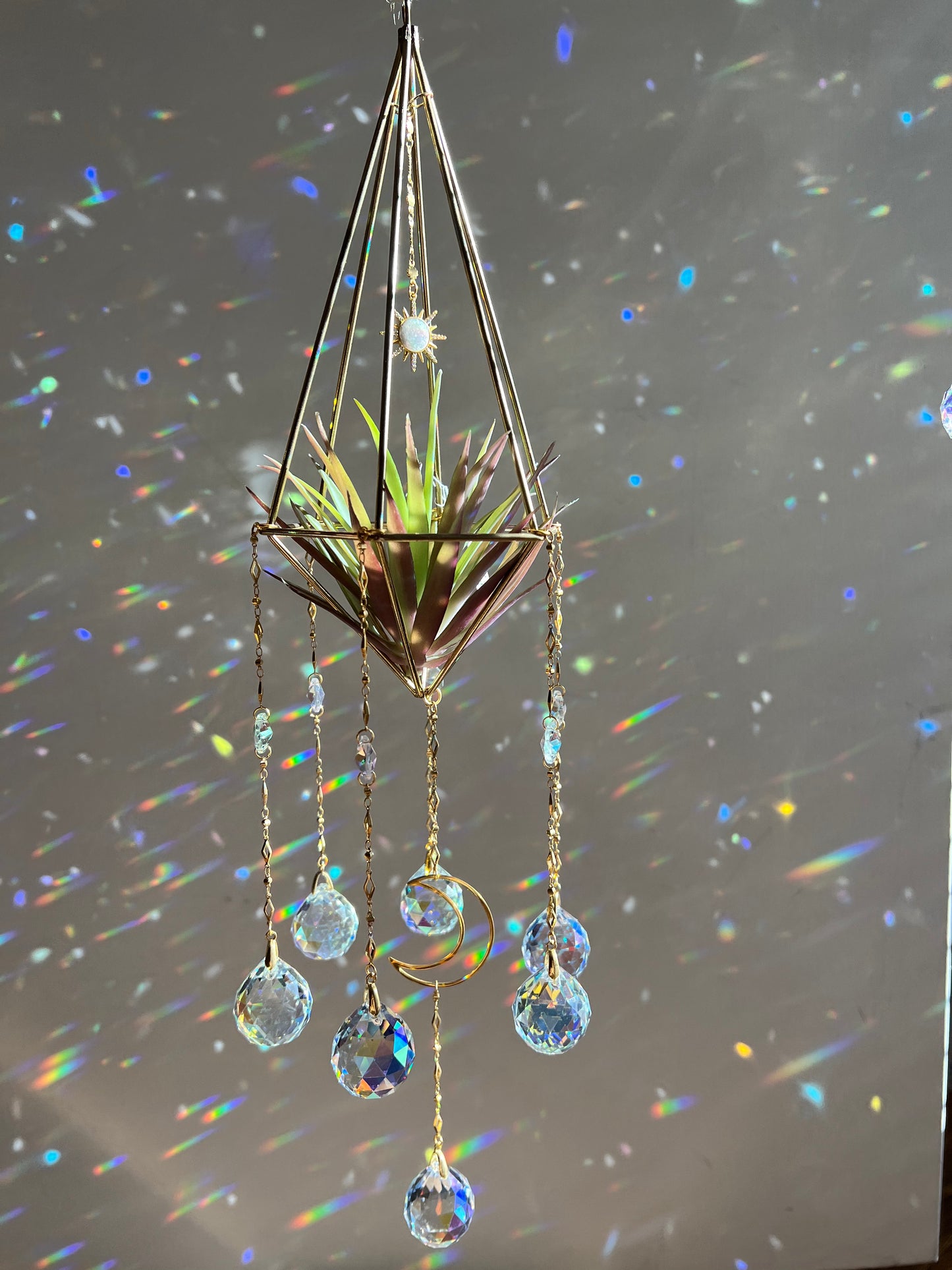 Solune large sun catcher with faux air plant