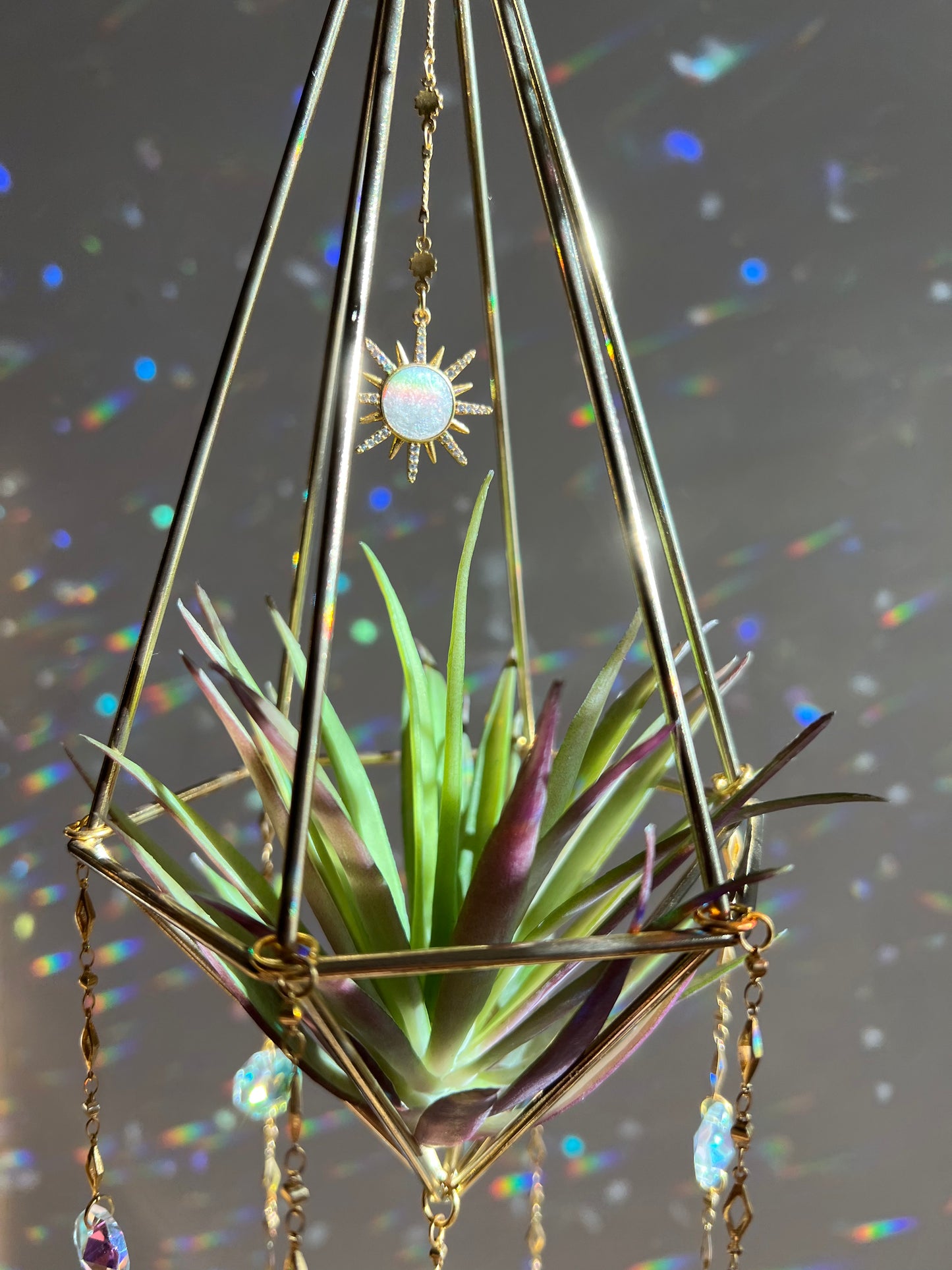 Solune large sun catcher with faux air plant