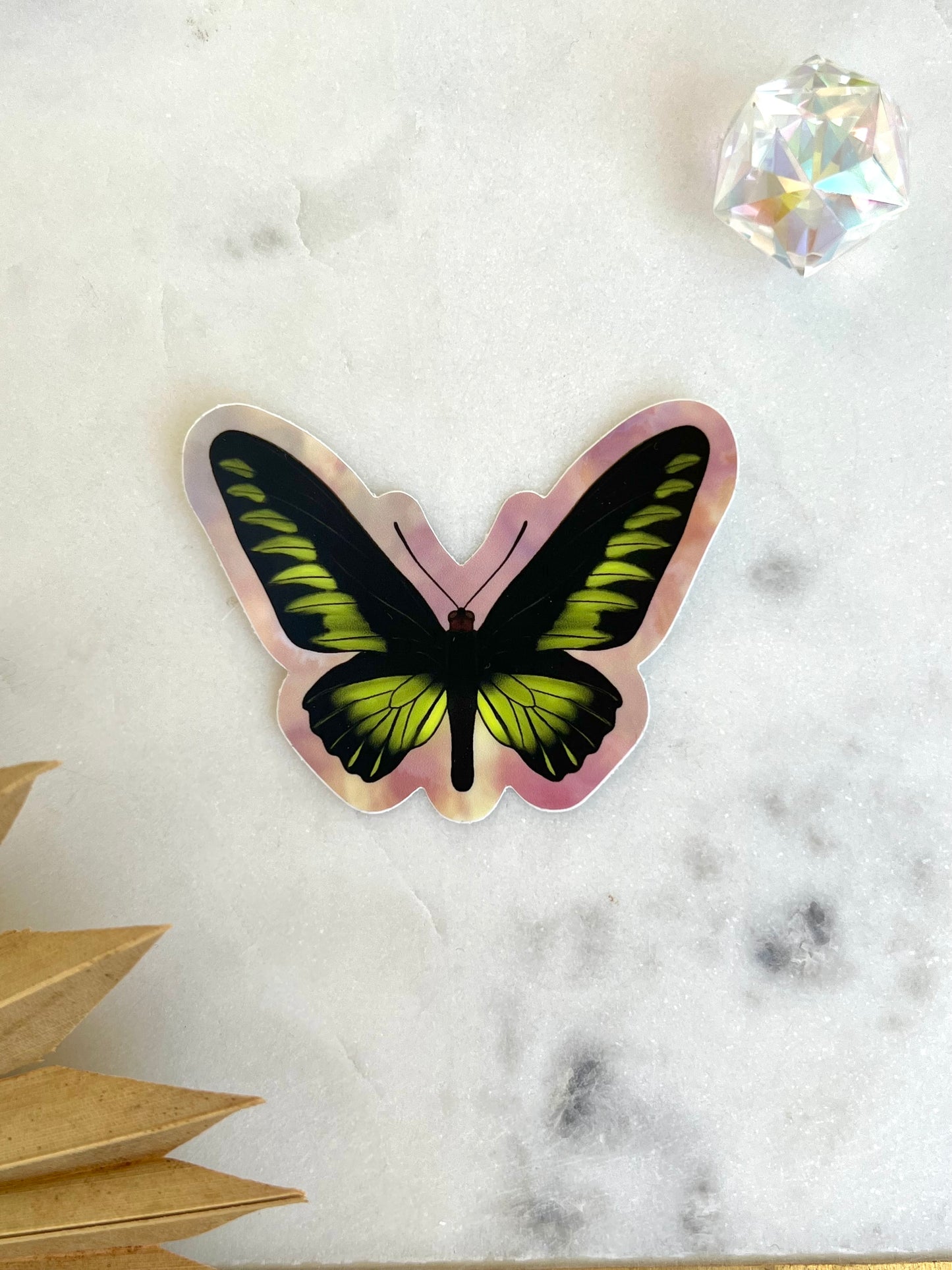 Rajah Brooke’s birdwing butterfly sticker