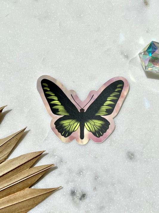 Rajah Brooke’s birdwing butterfly sticker